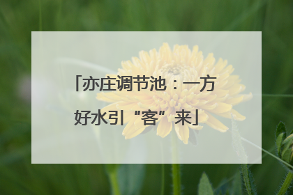 亦庄调节池：一方好水引“客”来