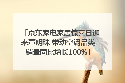 京东家电家居惊喜日迎来董明珠 带动空调品类销量同比增长100%