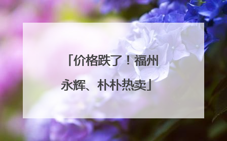 价格跌了！福州永辉、朴朴热卖
