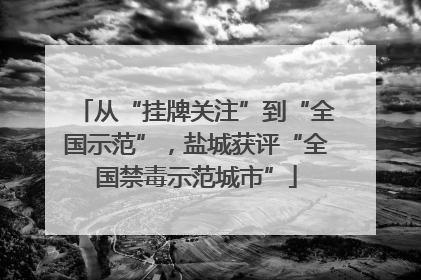 从“挂牌关注”到“全国示范”，盐城获评“全国禁毒示范城市”