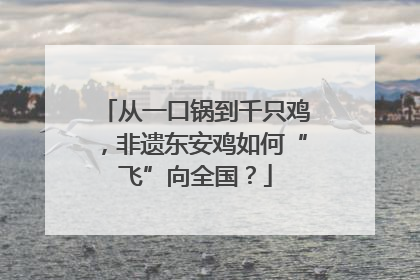 从一口锅到千只鸡，非遗东安鸡如何“飞”向全国？
