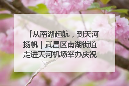 从南湖起航，到天河扬帆｜武昌区南湖街道走进天河机场举办庆祝建党104周年活动