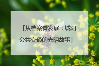 从档案看发展：城阳公共交通的光阴故事