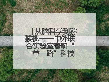 从脑科学到猕猴桃——中外联合实验室奏响“一带一路”科技合作交响曲