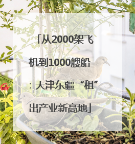 从2000架飞机到1000艘船：天津东疆“租”出产业新高地