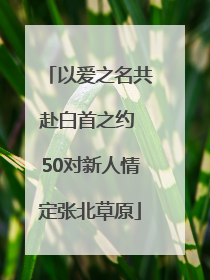 以爱之名共赴白首之约 50对新人情定张北草原