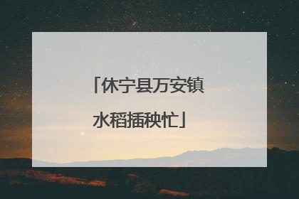 休宁县万安镇水稻插秧忙