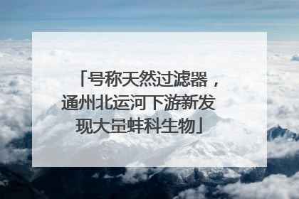 号称天然过滤器，通州北运河下游新发现大量蚌科生物