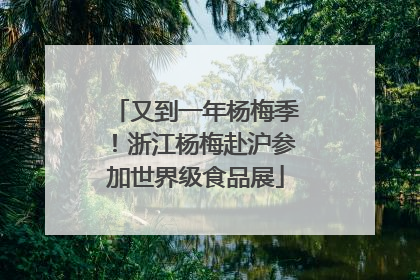 又到一年杨梅季！浙江杨梅赴沪参加世界级食品展