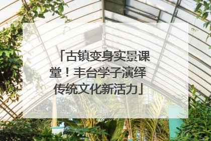 古镇变身实景课堂！丰台学子演绎传统文化新活力