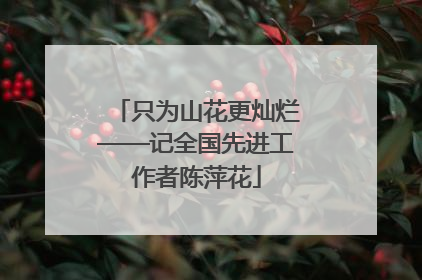 只为山花更灿烂——记全国先进工作者陈萍花