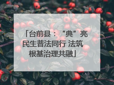 台前县：“典”亮民生普法同行 法筑根基治理共融