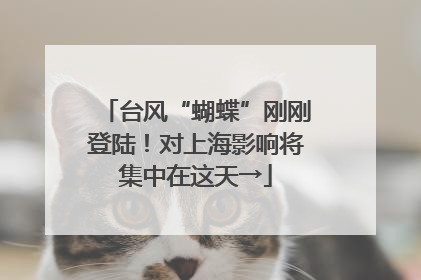 台风“蝴蝶”刚刚登陆！对上海影响将集中在这天→