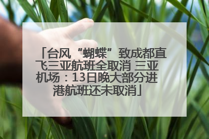 台风“蝴蝶”致成都直飞三亚航班全取消 三亚机场：13日晚大部分进港航班还未取消