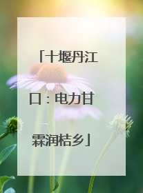 十堰丹江口：电力甘霖润桔乡