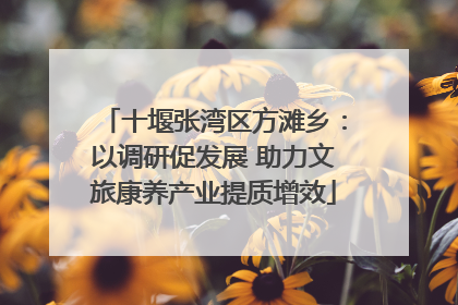 十堰张湾区方滩乡：以调研促发展 助力文旅康养产业提质增效