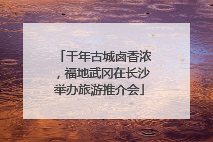 千年古城卤香浓，福地武冈在长沙举办旅游推介会