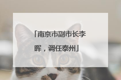 南京市副市长李晖，调任泰州