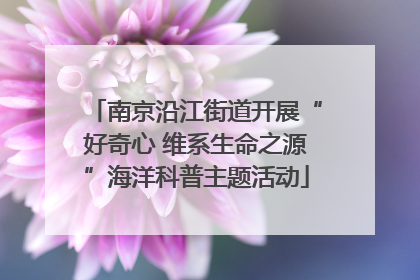 南京沿江街道开展“好奇心 维系生命之源”海洋科普主题活动