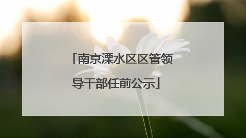 南京溧水区区管领导干部任前公示