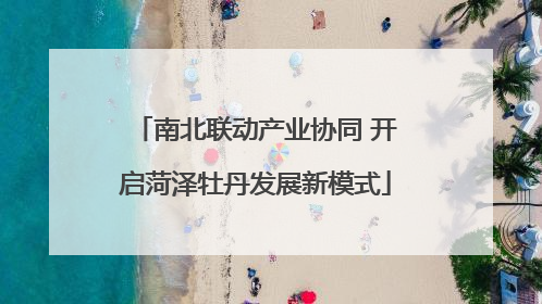 南北联动产业协同 开启菏泽牡丹发展新模式