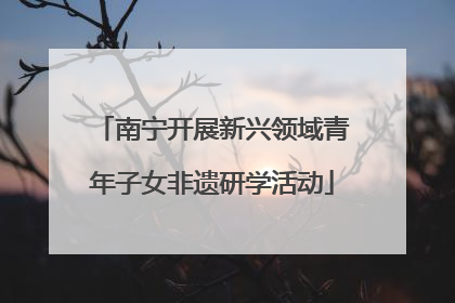 南宁开展新兴领域青年子女非遗研学活动