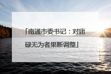 南通市委书记：对庸碌无为者果断调整