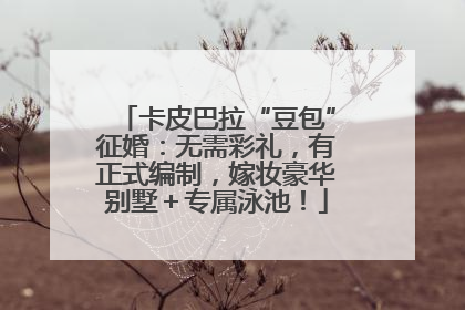 卡皮巴拉“豆包”征婚：无需彩礼，有正式编制，嫁妆豪华别墅＋专属泳池！