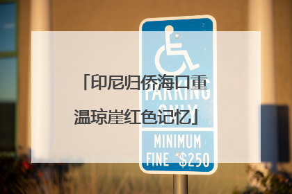 印尼归侨海口重温琼崖红色记忆