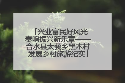 兴业富民好风光 奏响振兴新乐章——合水县太莪乡黑木村发展乡村旅游纪实