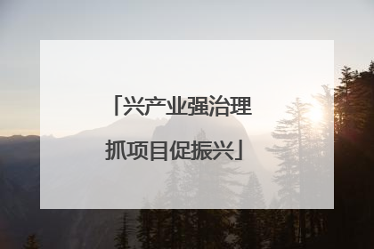 兴产业强治理 抓项目促振兴