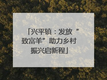 兴平镇：发放“致富羊”助力乡村振兴启新程