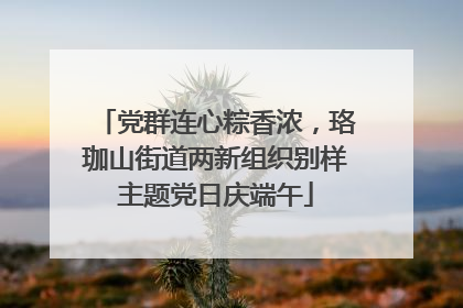 党群连心粽香浓，珞珈山街道两新组织别样主题党日庆端午