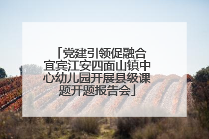 党建引领促融合 宜宾江安四面山镇中心幼儿园开展县级课题开题报告会