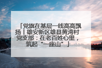 党旗在基层一线高高飘扬丨雄安新区雄县黄湾村党支部：在老百姓心里，筑起“一座山”