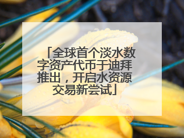 全球首个淡水数字资产代币于迪拜推出，开启水资源交易新尝试
