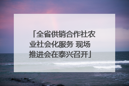 全省供销合作社农业社会化服务 现场推进会在泰兴召开