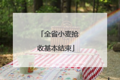 全省小麦抢收基本结束