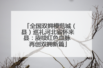 全国双拥模范城（县）巡礼河北省怀来县：赓续红色血脉 再创双拥新篇