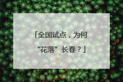 全国试点，为何“花落”长春？