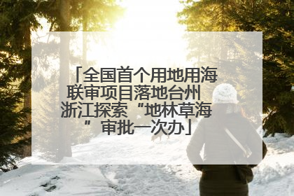 全国首个用地用海联审项目落地台州 浙江探索“地林草海”审批一次办