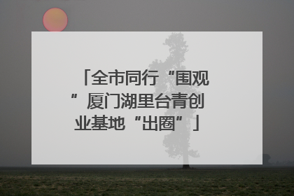 全市同行“围观”厦门湖里台青创业基地“出圈”