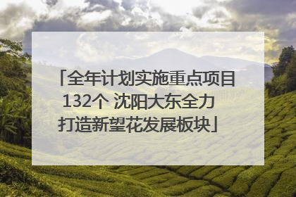 全年计划实施重点项目132个 沈阳大东全力打造新望花发展板块