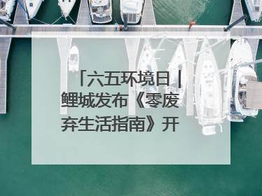六五环境日｜鲤城发布《零废弃生活指南》开启露营新玩法