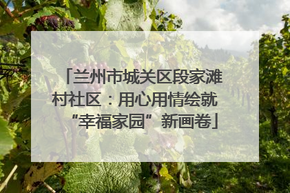 兰州市城关区段家滩村社区：用心用情绘就“幸福家园”新画卷