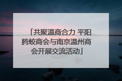 共聚温商合力 平阳腾蛟商会与南京温州商会开展交流活动