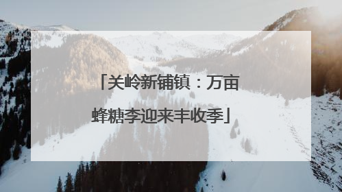 关岭新铺镇：万亩蜂糖李迎来丰收季