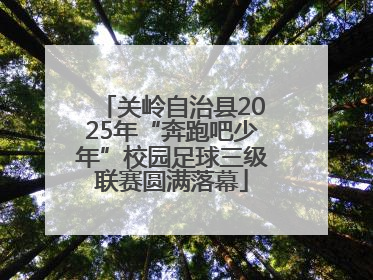 关岭自治县2025年“奔跑吧少年”校园足球三级联赛圆满落幕