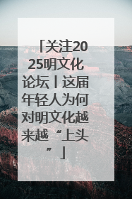 关注2025明文化论坛丨这届年轻人为何对明文化越来越“上头”