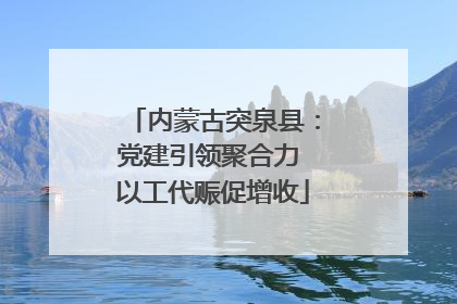 内蒙古突泉县：党建引领聚合力 以工代赈促增收